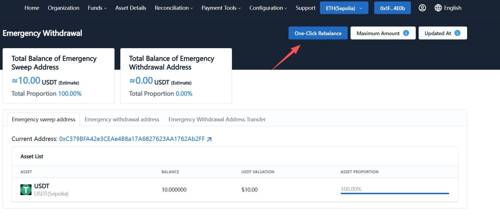 Execute one-click rebalance on emergency rebalance page